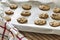 Warm chocolate chip cookies cooling on a cookie sheet