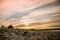 Warm color sunset. Wild stones beach and forest. Ocean coast