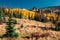 A warm fall scene of yellow aspen leaves as a foreground to Wheeler Geologic Area in remote Colorado