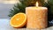 Warm Glow: Burning Candle with Orange and Fir Branches, Closeup