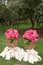 Warm pink blankets rolled up in the form of roses in a large basket for guests at an outdoor wedding party. Individual dance white