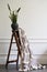 Warm plaid hanging on decorative ladder with houseplant