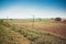 Warm rural farmland view with fence and telegraph pole into distance