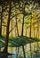 Warm spring forest summer landscape sunny painting