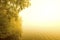 Warm summer sunrise and mist on Spectacle Pond in Vermont