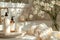 Warm sunlight filters through a rustic spa setting, highlighting organic skincare products and a serene