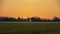 Warm sunrise over open agriculture field