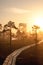 Warm sunrise at a swamp covered in fog. Sunshine beats through the thick mist with tree silhouettes and a path at Kemeri National