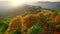 Warm sunset autumn landscape. Trees with red and