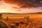 warm-toned panoramic view of vast african plains