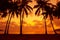 Warm vivid tropical sunset on ocean shore with palm trees