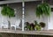 Warm and welcoming country porch with Adirondack chairs and array of plants and flowersa