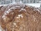 Warm winter hair of horses standing behing the electric fence