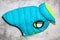 Warm winter vest for a dog in bright blue and yellow colors