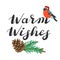 Warm wishes. lettering with fir branches and bullfinch