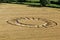 Warminster, Wiltshire, UK.31st July 2016. Cley Hill Crop Circle