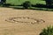 Warminster, Wiltshire, UK.31st July 2016. Cley Hill Crop Circle