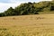 Warminster, Wiltshire, UK.31st July 2016. Cley Hill Crop Circle