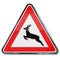 Warning animal crossing