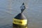 Warning buoy