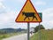 Warning cows roadsign. On country road