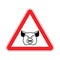 Warning Pig. swine on red triangle. Road sign attention to farm