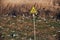 Warning poison hazard sign in field with garbage.