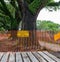 `Warning Protective Tree Fencing Do Not Enter` Sign