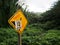 Warning sign along a hiking trail in Hawaii with grafitti