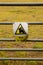 Warning Sign Bull in field, Yellow triangle with bull head symbol on white
