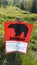 Warning sign grizzly Anchorage park