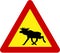 Warning sign with moose on road