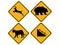 Warning wildlife signs