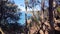 Warrah Lookout on the Pearl Beach Fire Trail Overlooking the Hawkesbury River