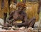 Warrior Asmat tribe sits and carves a ritual statue.