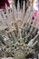 Warrior, Iron throne made with swords, fantasy scene or stage. R