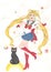 warrior Sailor Moon and her cat moon