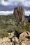 Warrumbungle National Park