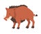 Warthog African Animal, Wild Herbivore Jungle Animal Cartoon Vector Illustration