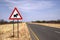 Warthog crossing sign on namibian road