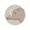 Warthog head vector illustration style Flat