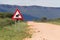 Warthog Road Crossing Sign