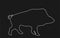 Warthog vector line contour silhouette illustration isolated on black background. Bush Pig. Wild boar symbol. Boar isolated.