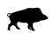Warthog vector silhouette illustration isolated on white background. Bush Pig. Wild boar symbol. Boar isolated, warthog icon.