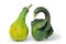 Warty gourds