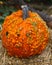 Warty orange pumpkin on haystack