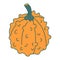 Warty or pimpled orange gourd in cartoon flat style.