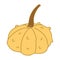 Warty or pimpled yellow gourd in cartoon flat style.
