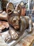 Warwickshire bear at Interior of chapel of saint marys church in warwick in england