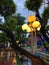 It was raining when in Dufan\\\'s dream playground,full of memories,shining through the garden lights